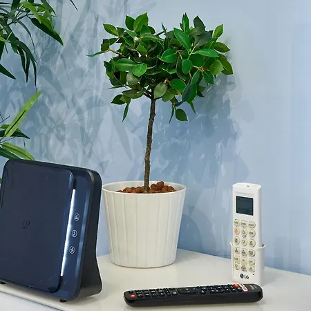 Good Vibes Comfort And Quality Daire